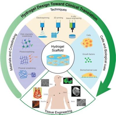  Elastin Mimicking Hydrogel 在組織工程中的應用潛力！