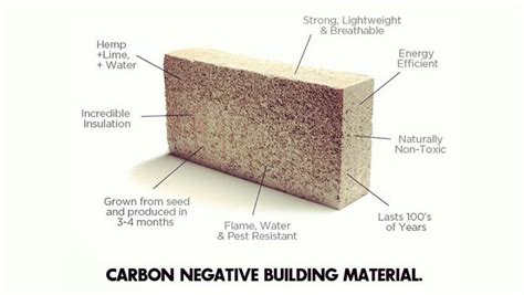  Hempcrete！綠建材的革命性選擇，將結構強度與可持續發展完美結合