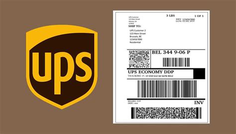 How to Print a Label for UPS: A Journey Through the Maze of Modern Logistics