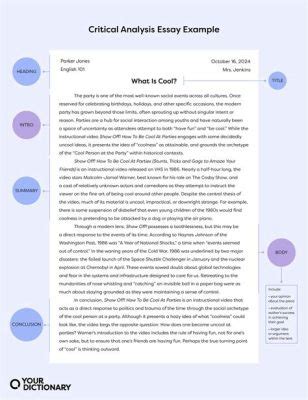 What is a Comprehensive Essay: A Journey Through the Labyrinth of Thought